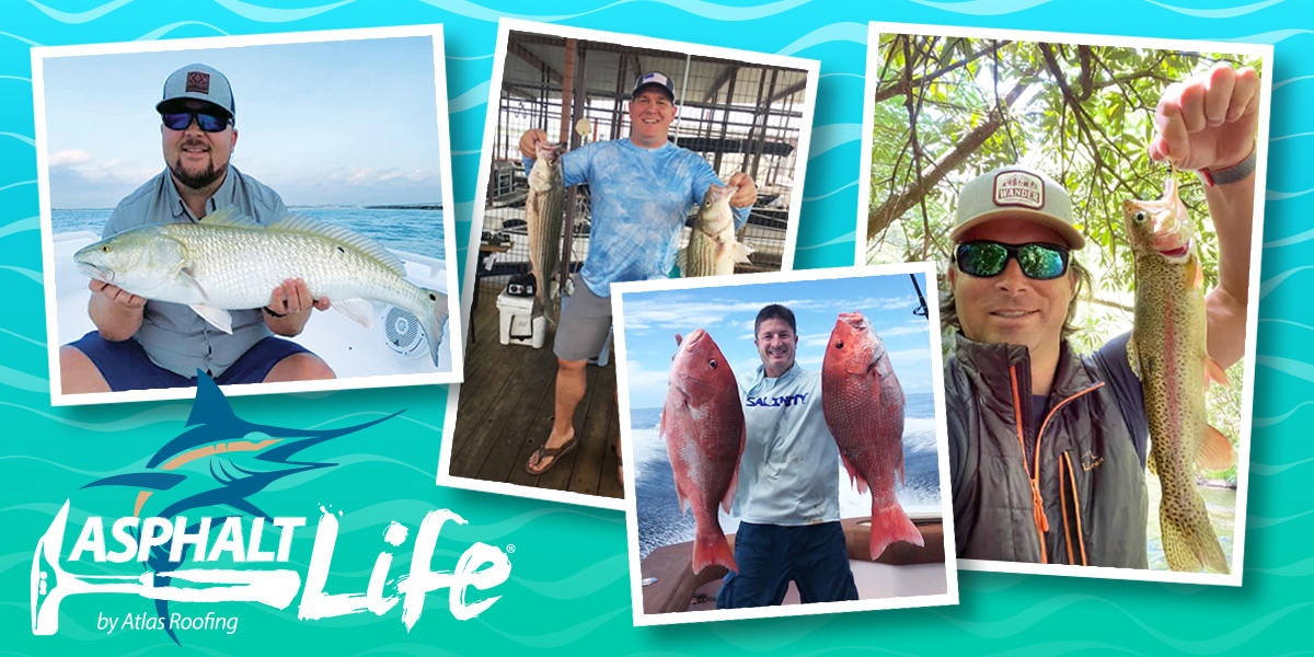Go Fish!
