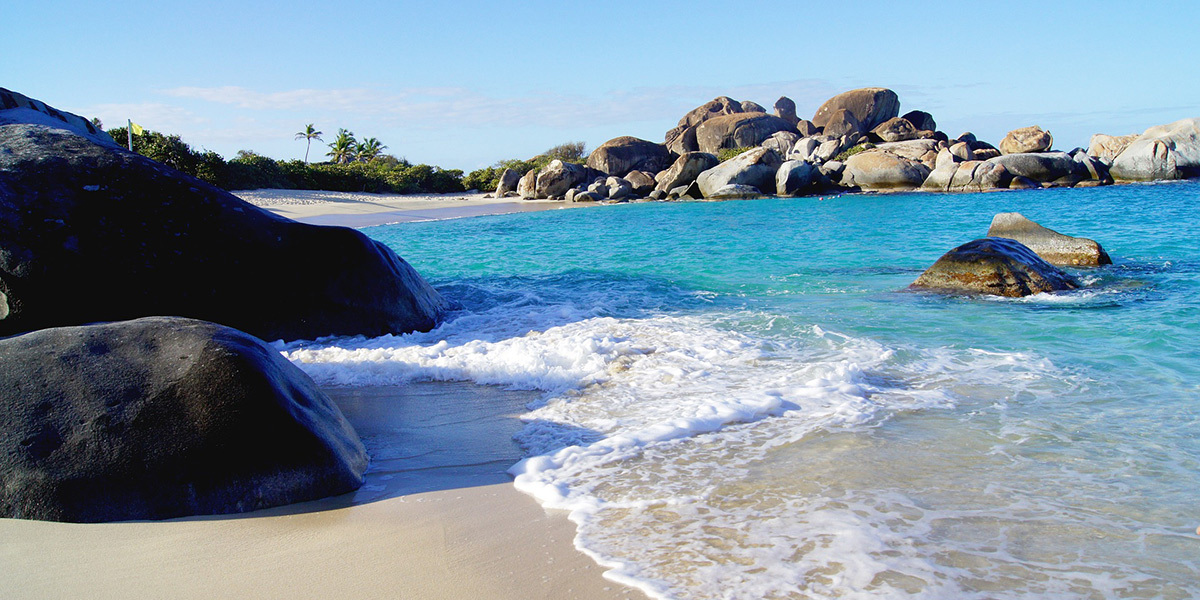 Sea For Yourself