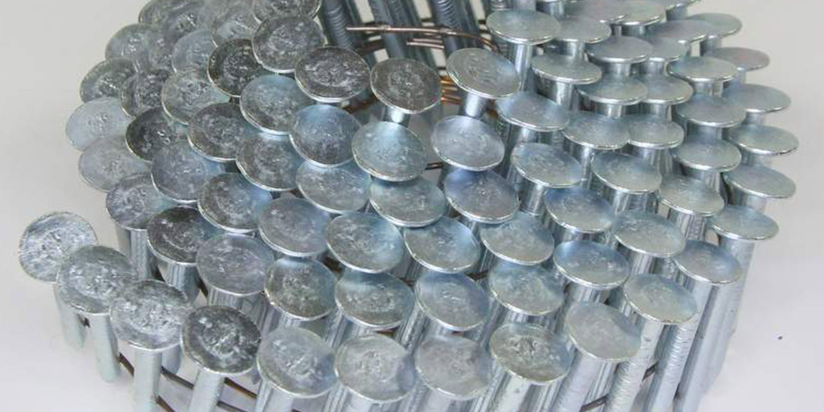Electro-Galvanized Nails Study