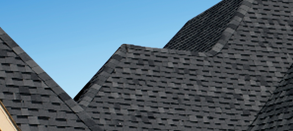 ProLam™ Hip & Ridge Shingles